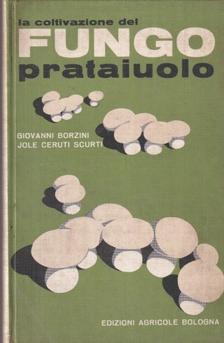 Borzini scurti la - -,