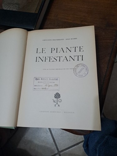 Haussmann scurti piante - scurti, le