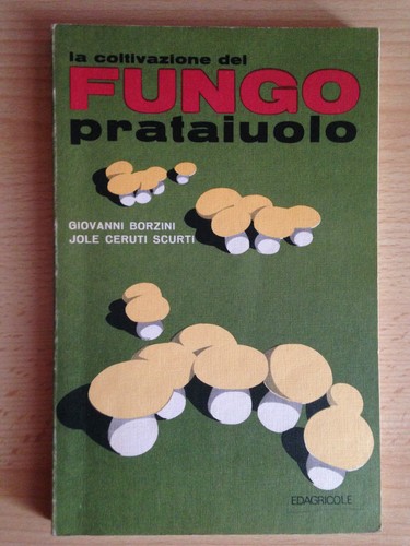 Coltivazione del fungo - la,