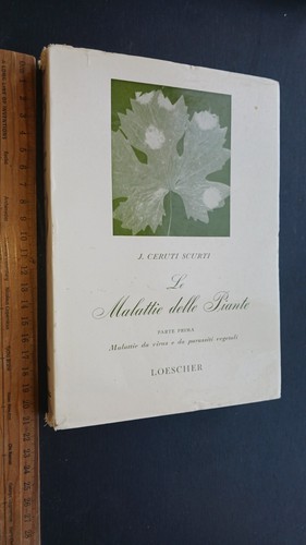 Ceruti scurti malattie - ceruti, le
