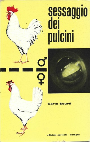 Scurti sessaggio dei pulcini - scurti,