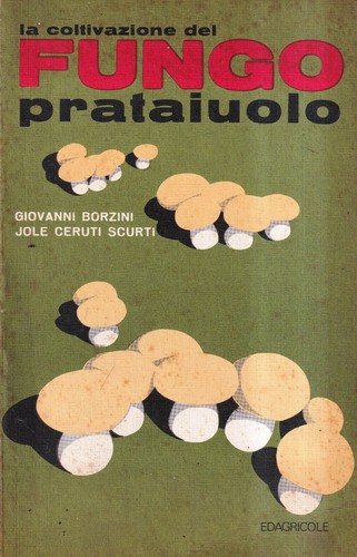 Coltivazione del fungo - la,