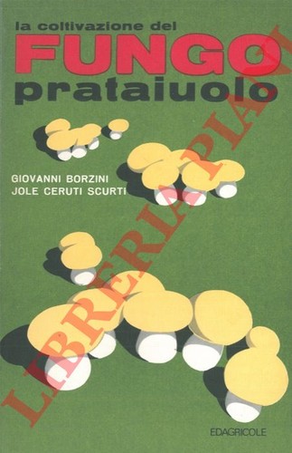 Borzini giovanni ceruti - giovanni,