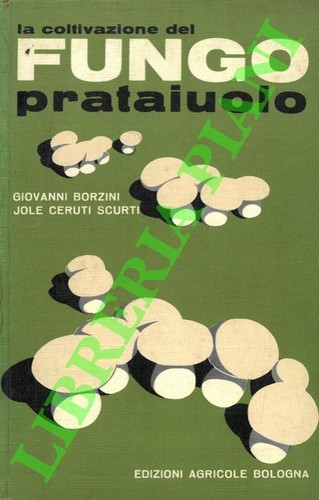 Borzini giovanni ceruti - giovanni,